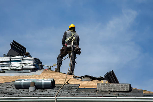 Professional Storm Damage Roof Repair technician working in Kelly, NC